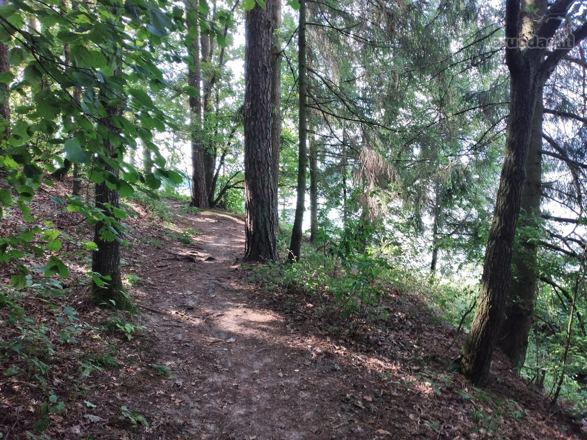 Gyvenamasis namas Kauno r. Laumėnų kaime 3 km - nuotraukos Nr. 30