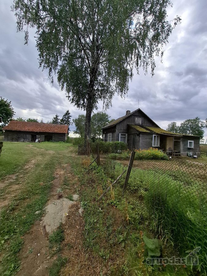 Jonavos raj.užusalių sen. Rasos gv. - nuotraukos Nr. 2