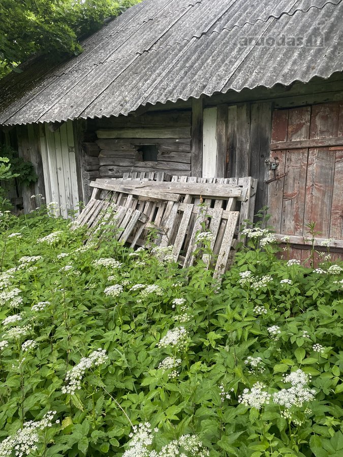 Parduodamas 28,3 a sklypas ramioje ir - nuotraukos Nr. 4