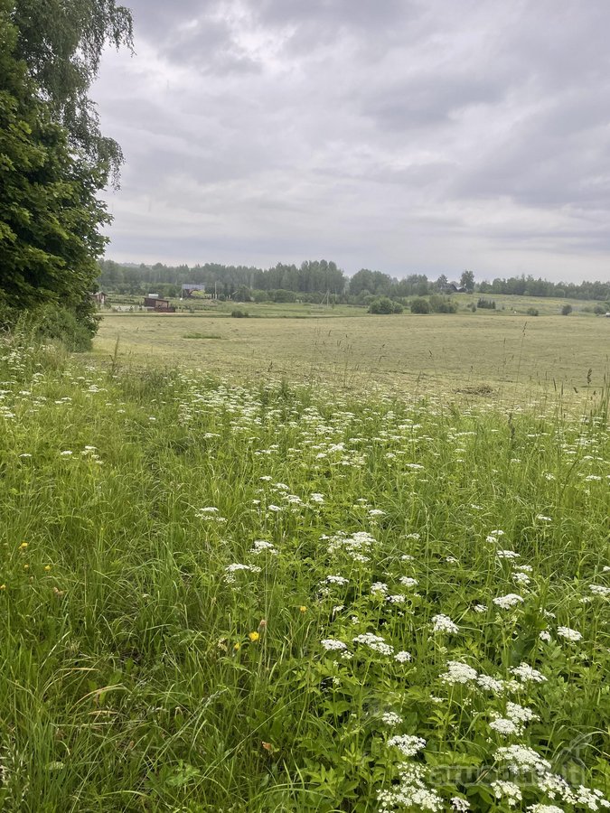 Parduodamas 28,3 a sklypas ramioje ir - nuotraukos Nr. 2