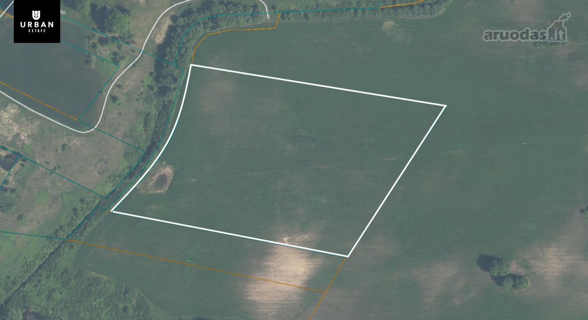 Parduodami Du (3.18 Ha Ir 7.31 Ha ) Vienas - nuotraukos Nr. 4