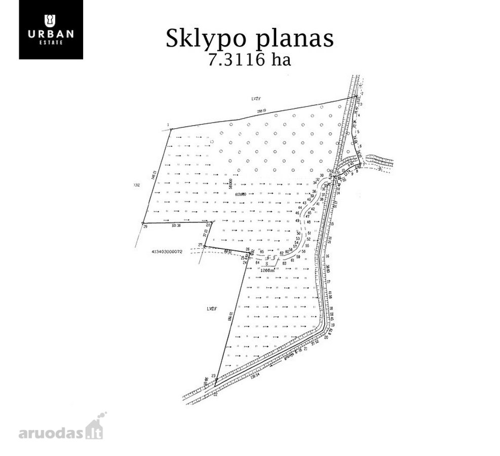 Parduodami Du (3.18 Ha Ir 7.31 Ha ) Vienas - nuotraukos Nr. 5