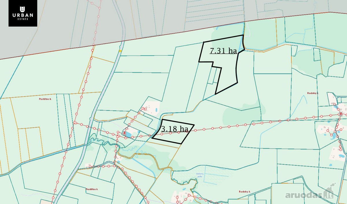 Parduodami Du (3.18 Ha Ir 7.31 Ha ) Vienas - nuotraukos Nr. 8