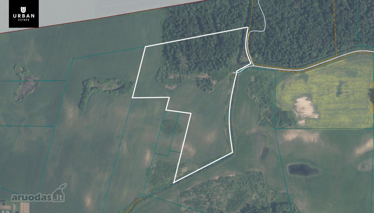 Parduodami Du (3.18 Ha Ir 7.31 Ha ) Vienas - nuotraukos Nr. 4