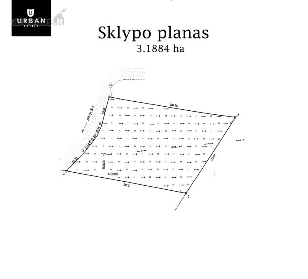 Parduodami Du (3.18 Ha Ir 7.31 Ha ) Vienas - nuotraukos Nr. 5