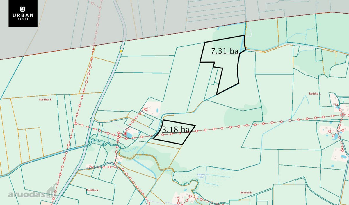 Parduodami Du (3.18 Ha Ir 7.31 Ha ) Vienas - nuotraukos Nr. 8