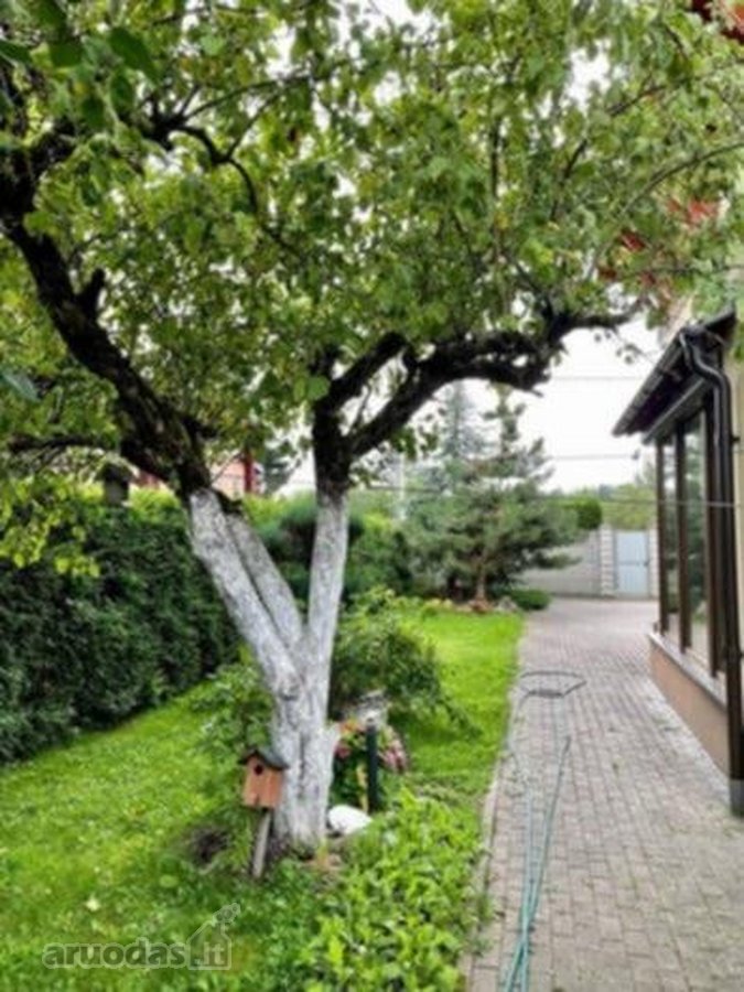 Antakalnyje, Miško Pašonėje, Netoli Upės, - nuotraukos Nr. 19