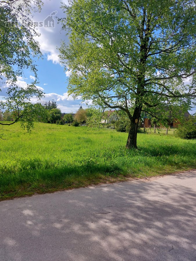 Sklypas gyvenvietėje,12km.iki Marijampolės - nuotraukos Nr. 4