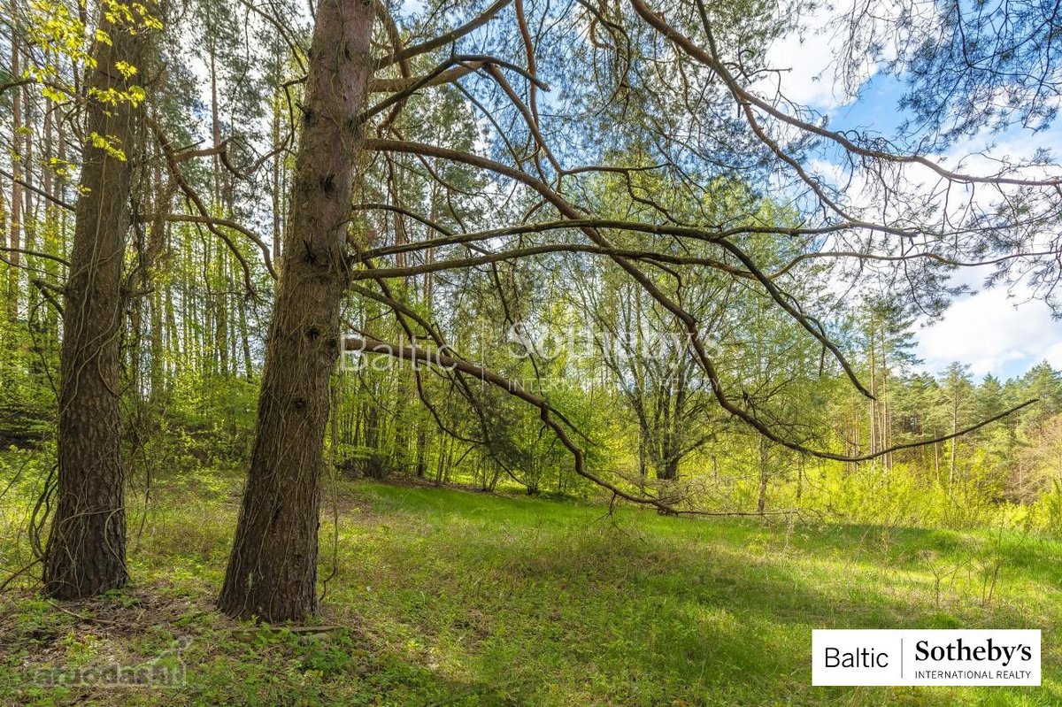 "Sklypas gyvenamajam namui Valakampiuose" - nuotraukos Nr. 2