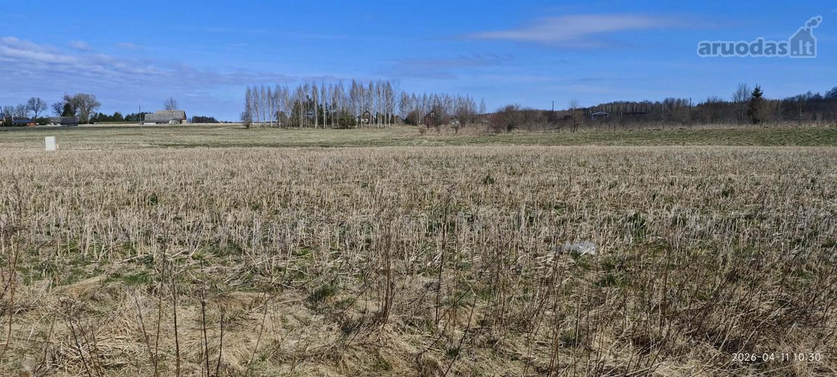 Jūsų ramybės oazė – 12,33 arų sklypas gamtos - nuotraukos Nr. 3