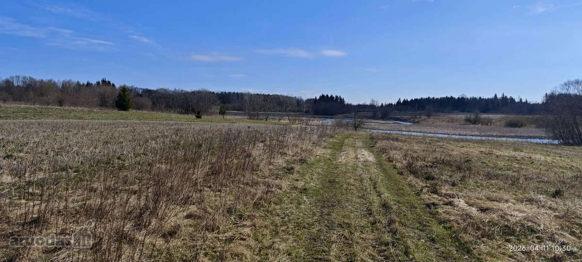 Jūsų ramybės oazė – 12,33 arų sklypas gamtos - nuotraukos Nr. 5