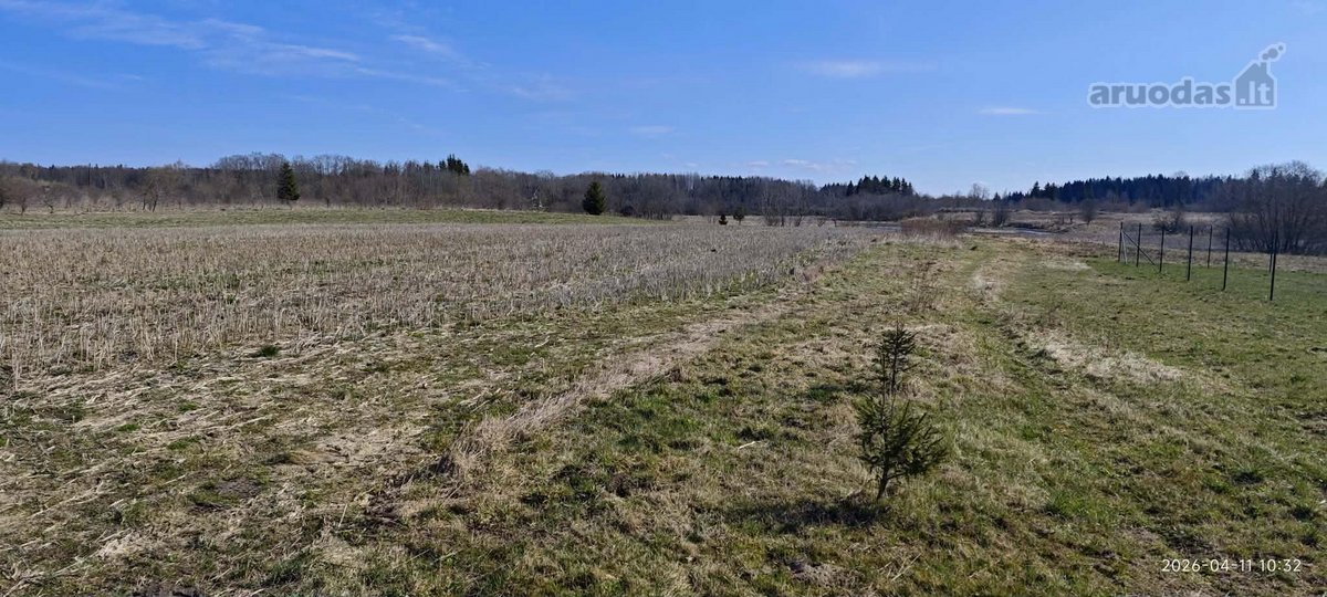 Jūsų ramybės oazė – 12,33 arų sklypas gamtos - nuotraukos Nr. 7