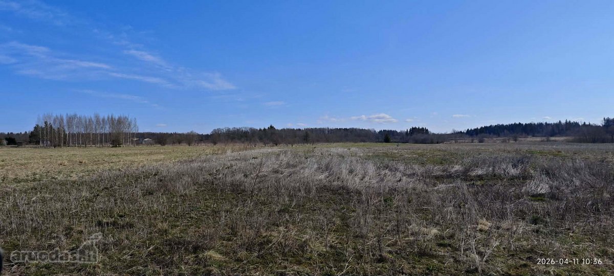 Jūsų ramybės oazė – 12,33 arų sklypas gamtos - nuotraukos Nr. 10