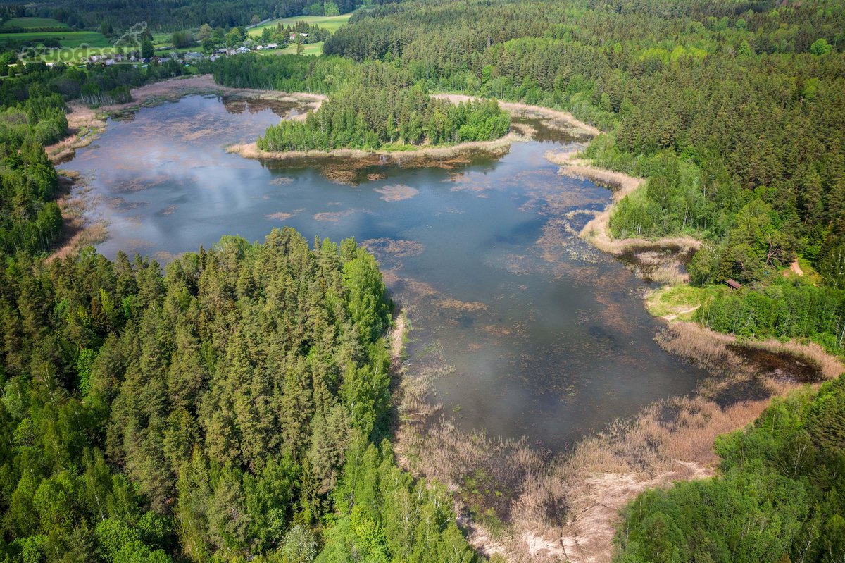 Nuostabioje vietoje, Švenčionių raj., - nuotraukos Nr. 12