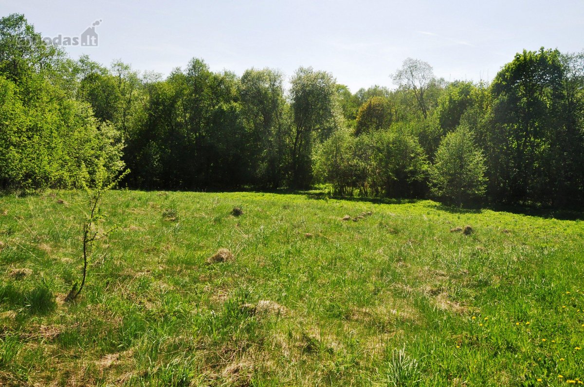 Parduodamas unikalus 1,6 ha sklypas šalia - nuotraukos Nr. 3