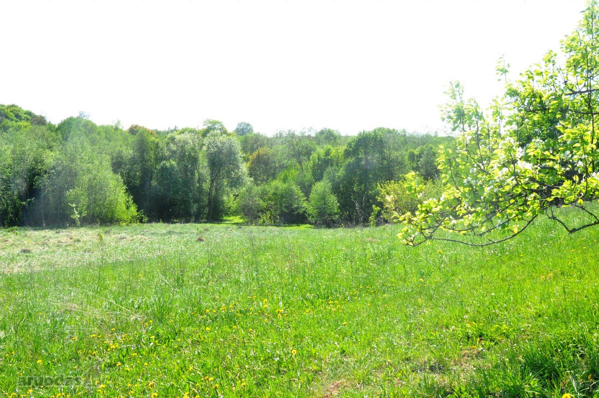 Parduodamas unikalus 1,6 ha sklypas šalia - nuotraukos Nr. 4