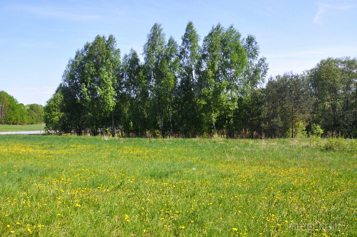 Parduodamas unikalus 1,6 ha sklypas šalia - nuotraukos Nr. 5
