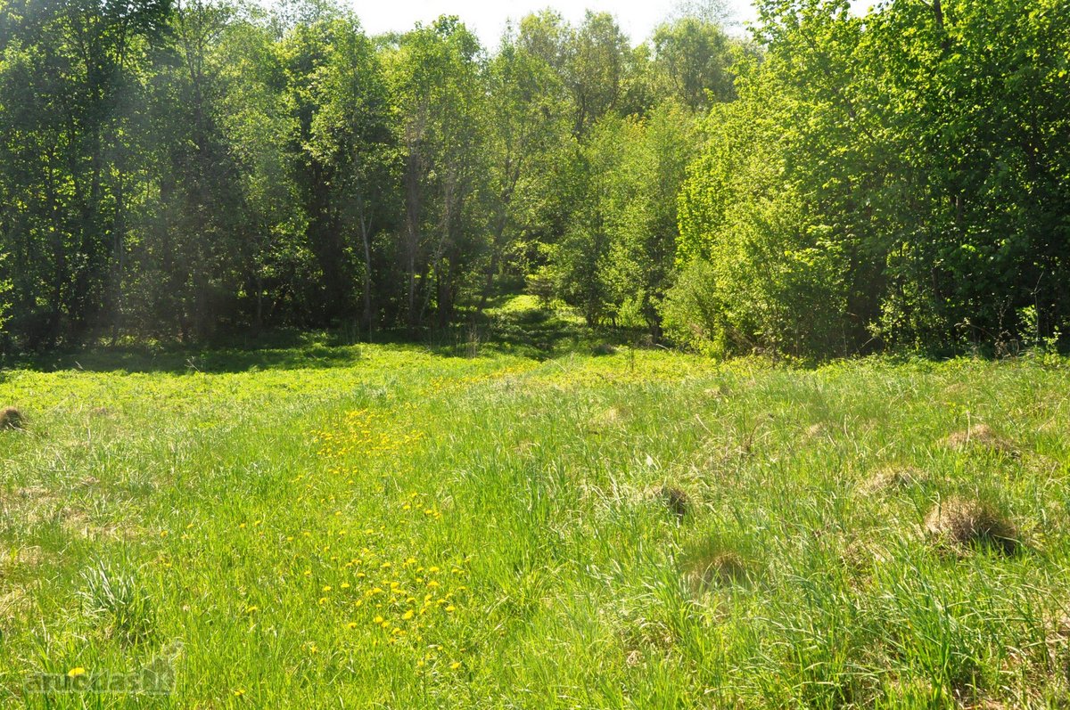 Parduodamas unikalus 1,6 ha sklypas šalia - nuotraukos Nr. 6