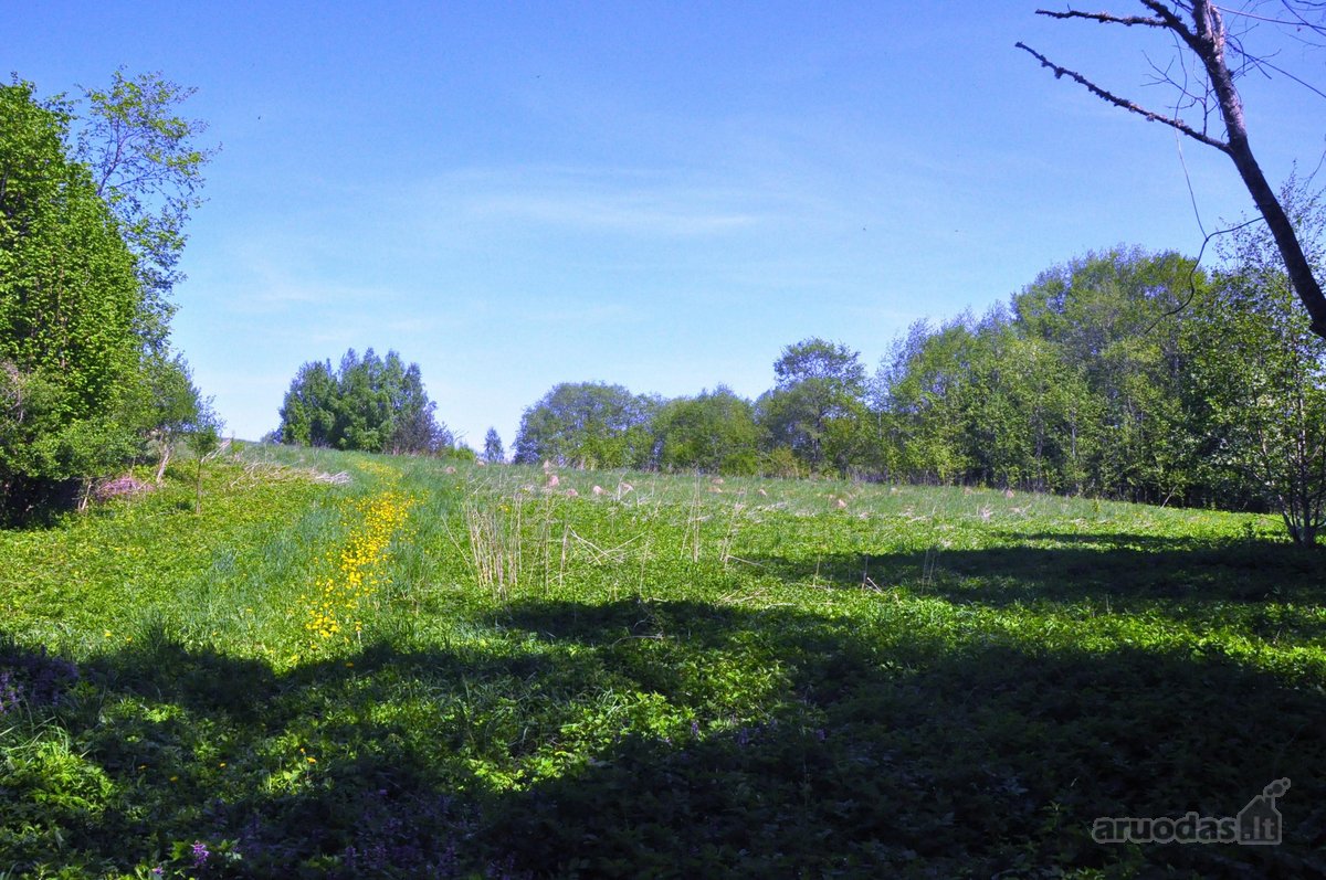 Parduodamas unikalus 1,6 ha sklypas šalia - nuotraukos Nr. 7