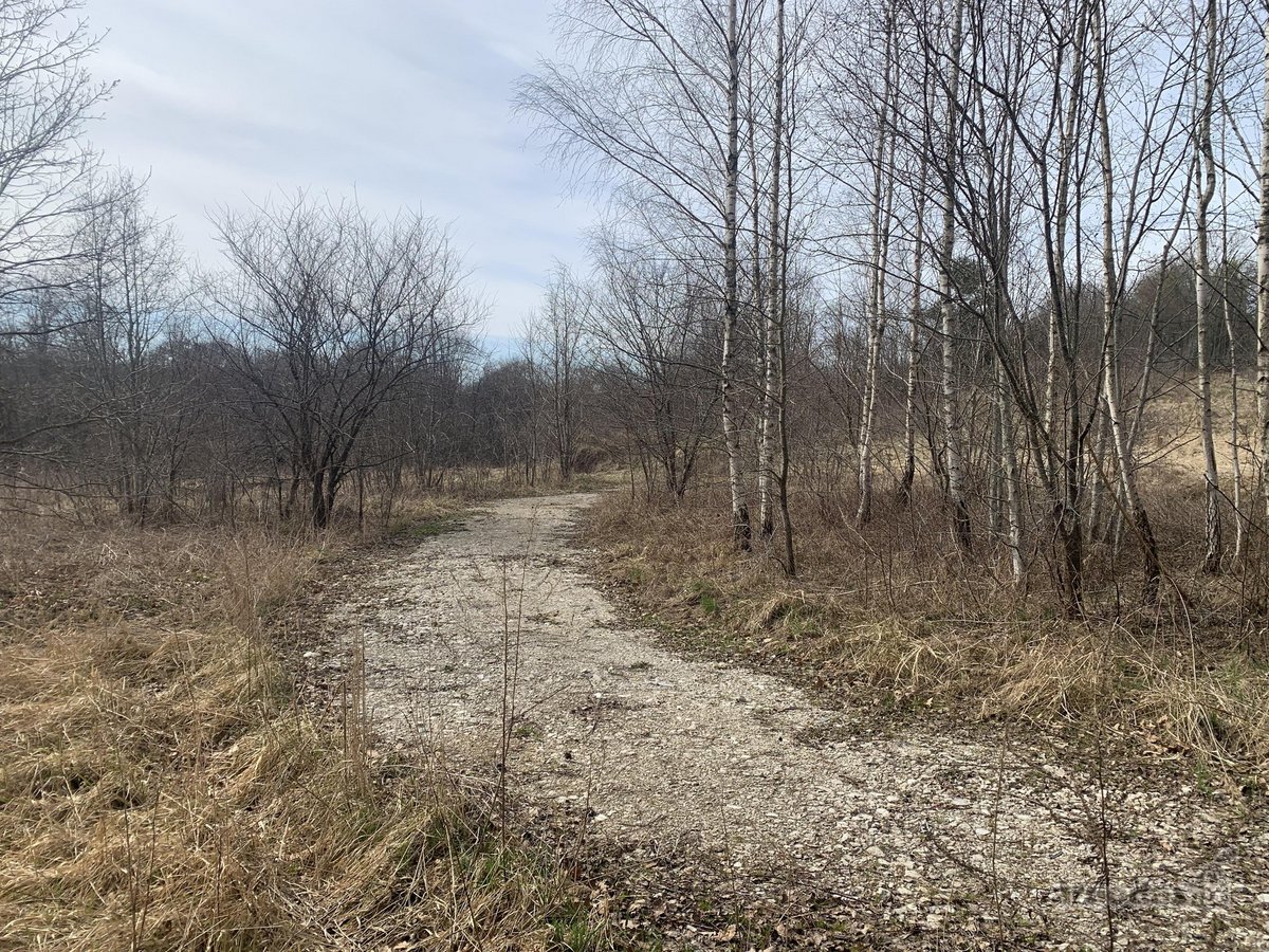Parduodamas unikalus 1,6 ha sklypas šalia - nuotraukos Nr. 9