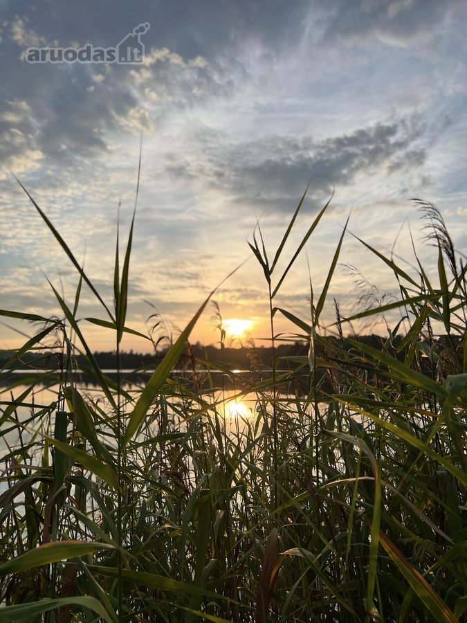 Parduodami du besiribojantys žemės sklypai, - nuotraukos Nr. 16