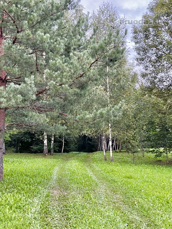 Parduodami du besiribojantys žemės sklypai, - nuotraukos Nr. 21