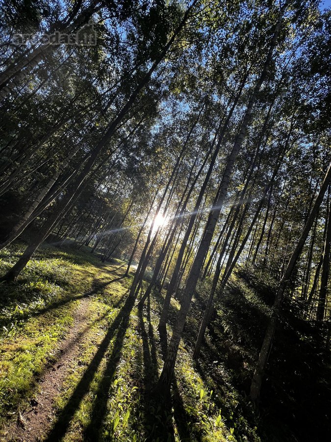 Parduodami du besiribojantys žemės sklypai, - nuotraukos Nr. 13