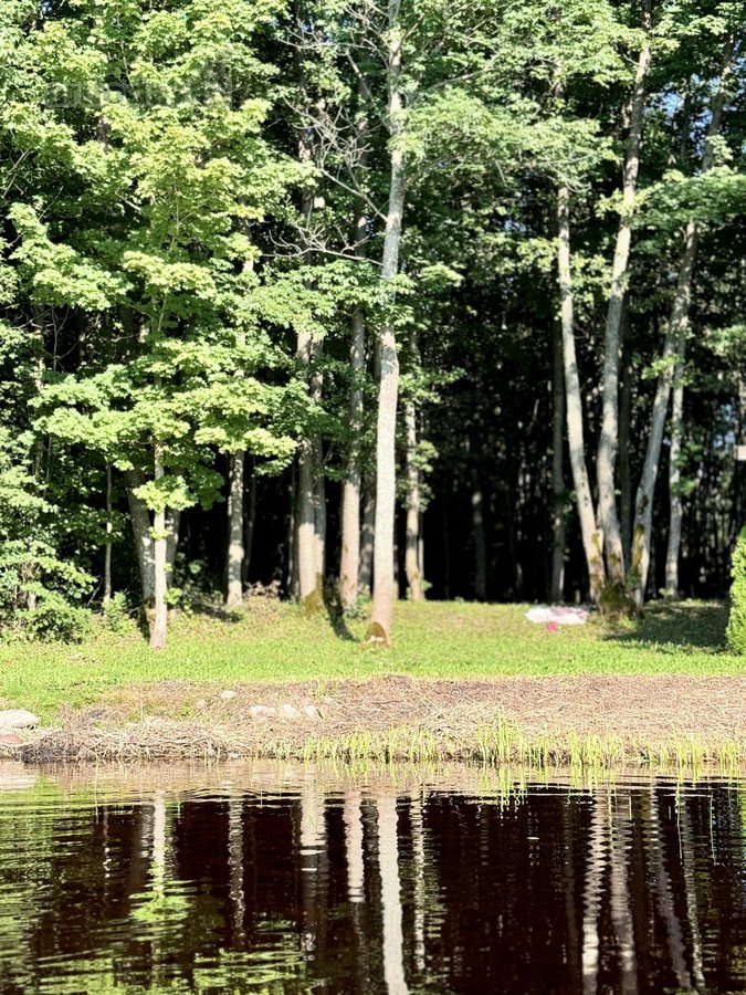 Parduodami du besiribojantys žemės sklypai, - nuotraukos Nr. 14
