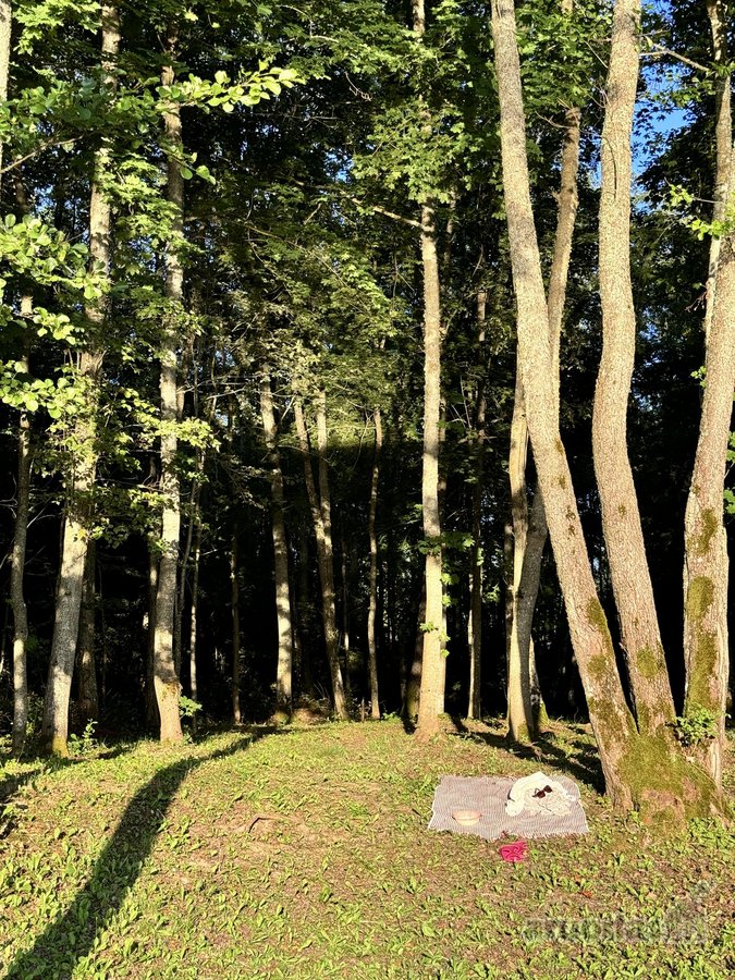 Parduodami du besiribojantys žemės sklypai, - nuotraukos Nr. 27