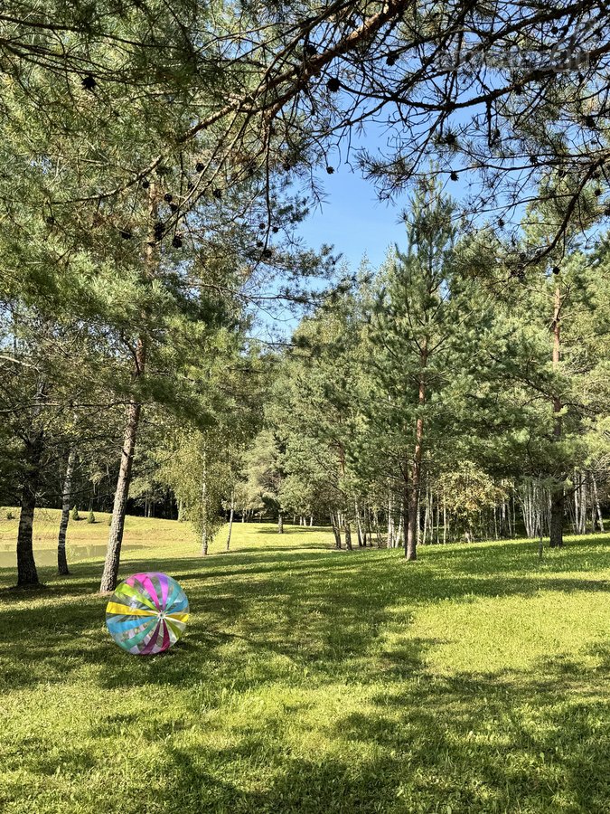 Parduodami du besiribojantys žemės sklypai, - nuotraukos Nr. 11