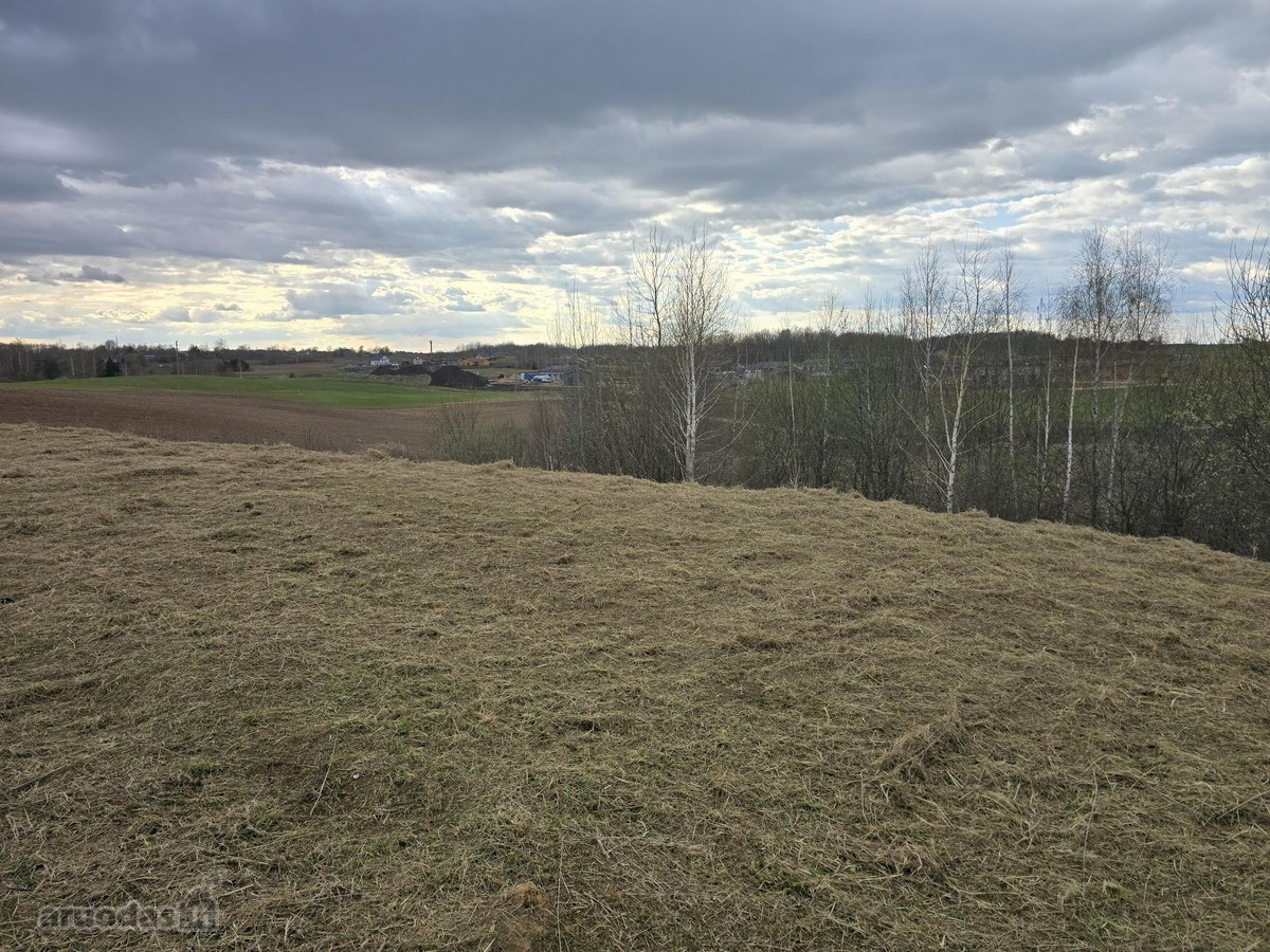 Svajonių Namų Sklypas Prie Vievio – Viskas - nuotraukos Nr. 7