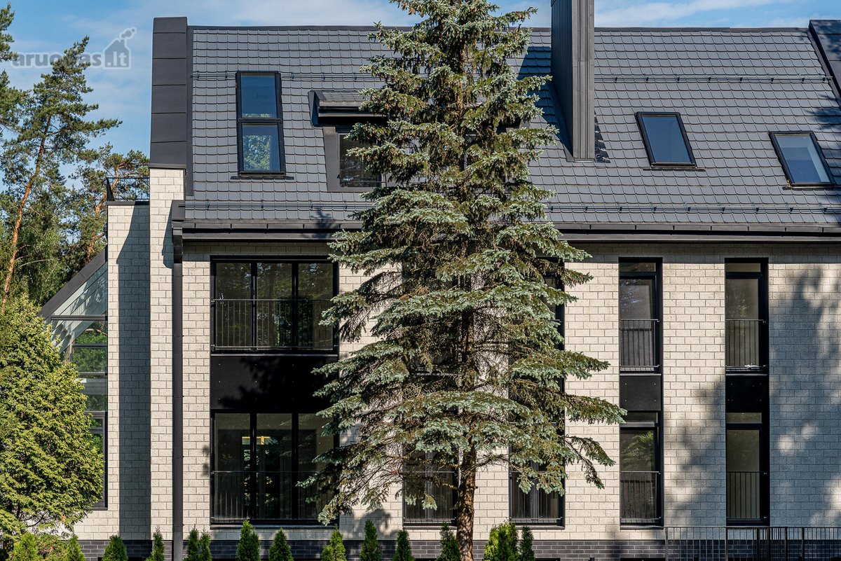 Apartamentai Valakampių pušyne – gamta ir - nuotraukos Nr. 11
