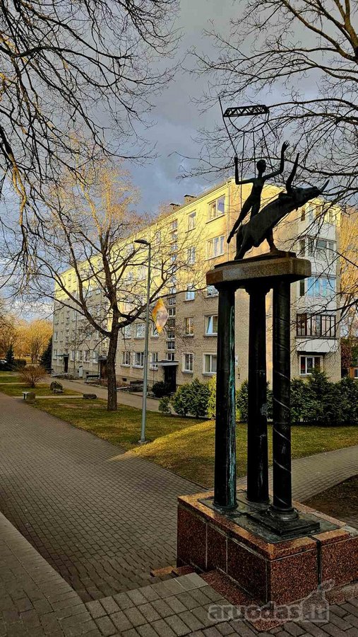Nuomojamas 2 kambarių butas su rūsiu – miesto - nuotraukos Nr. 11