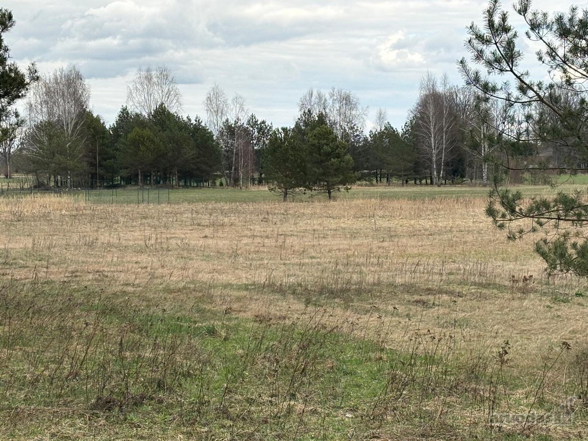 Didelis sklypas gamtos apsuptyje. Nuotraukos - nuotraukos Nr. 9