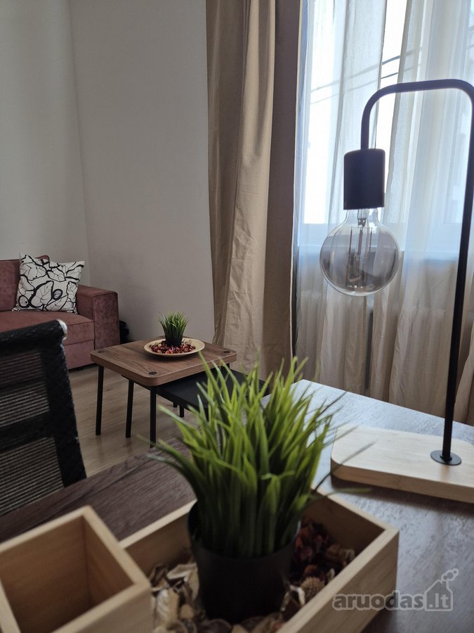 Šviesus ir jaukus butas nuomai prestižinėje - nuotraukos Nr. 10