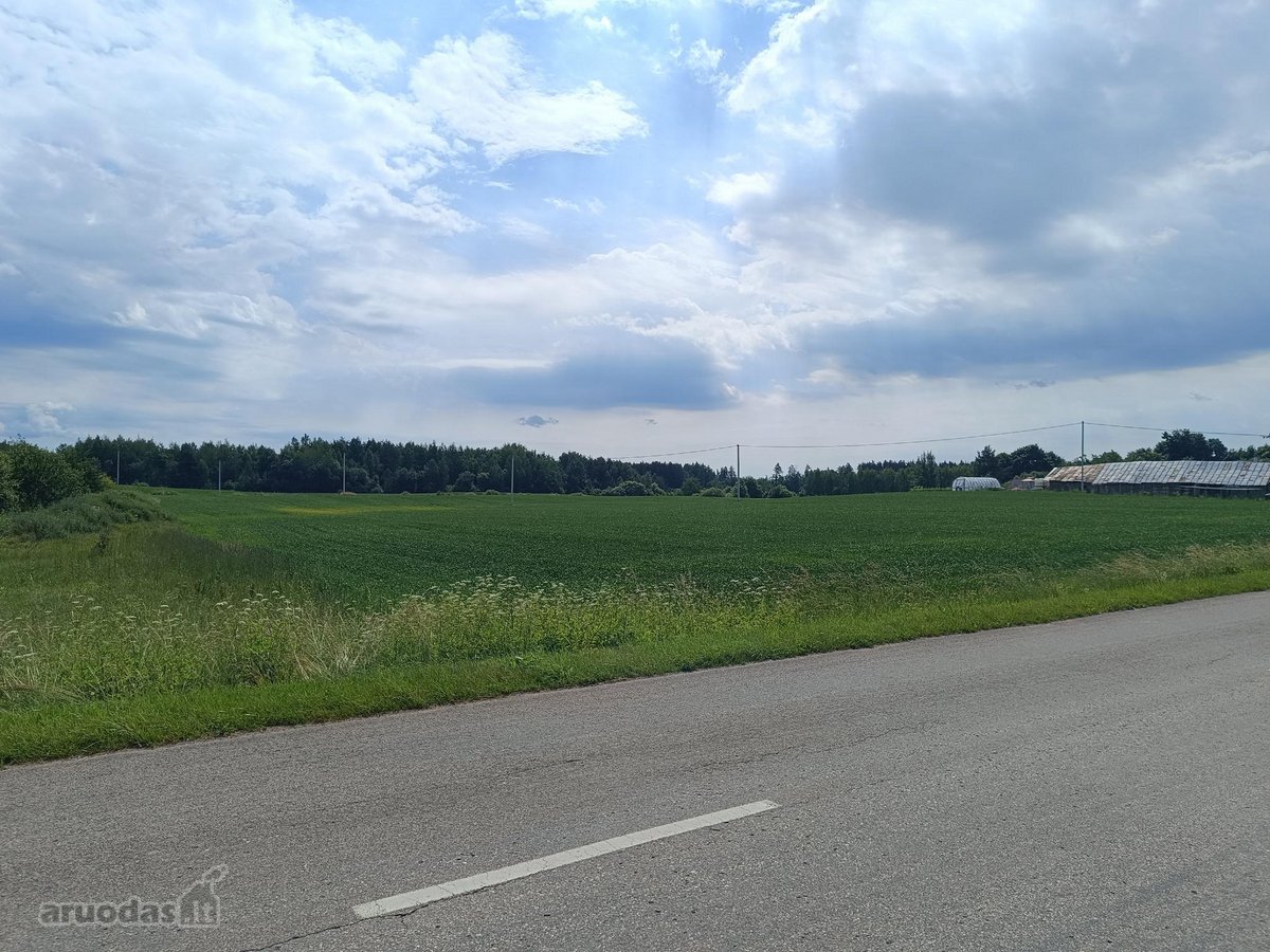 Parduodamas 2,8 ha žemės sklypas Rukainių sen - nuotraukos Nr. 3