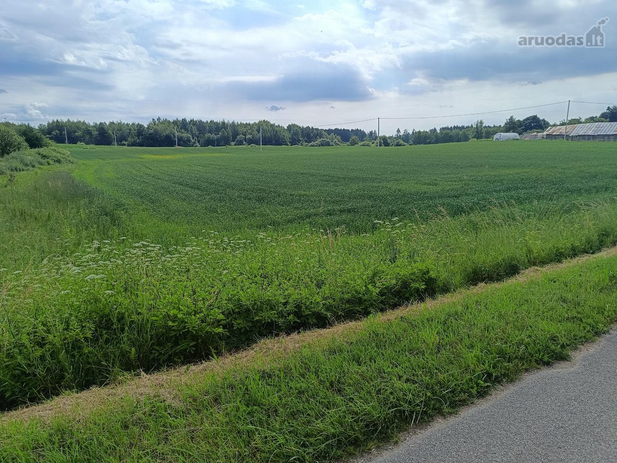Parduodamas 2,8 ha žemės sklypas Rukainių sen - nuotraukos Nr. 4