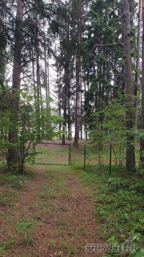 Parduodama Sartų regioniniame parke (buvusi) - nuotraukos Nr. 3