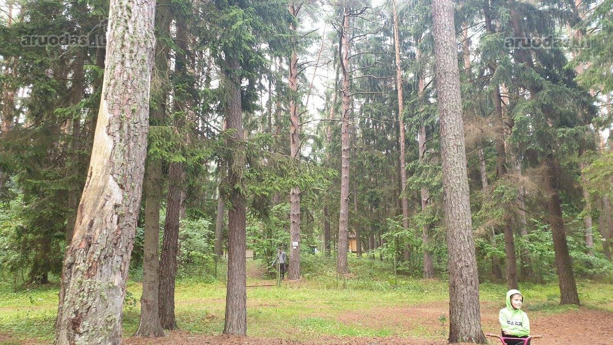 Parduodama Sartų regioniniame parke (buvusi) - nuotraukos Nr. 4