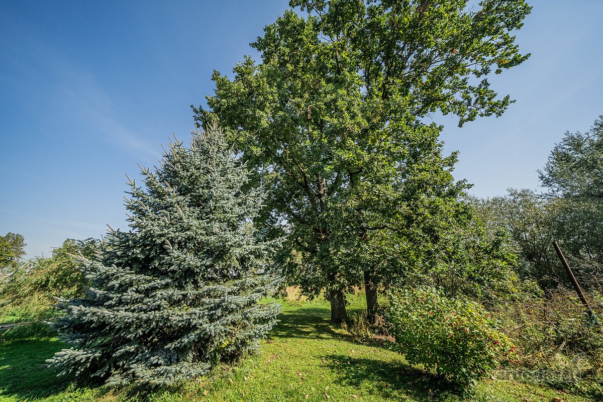 Vieno Aukšto Namas 255 Kv.m Su Šalia Esančiu - nuotraukos Nr. 7