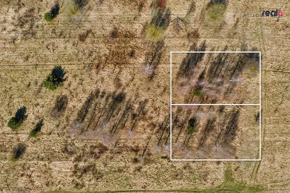 Parduodamas 9,26 a namų valdos sklypas - nuotraukos Nr. 2