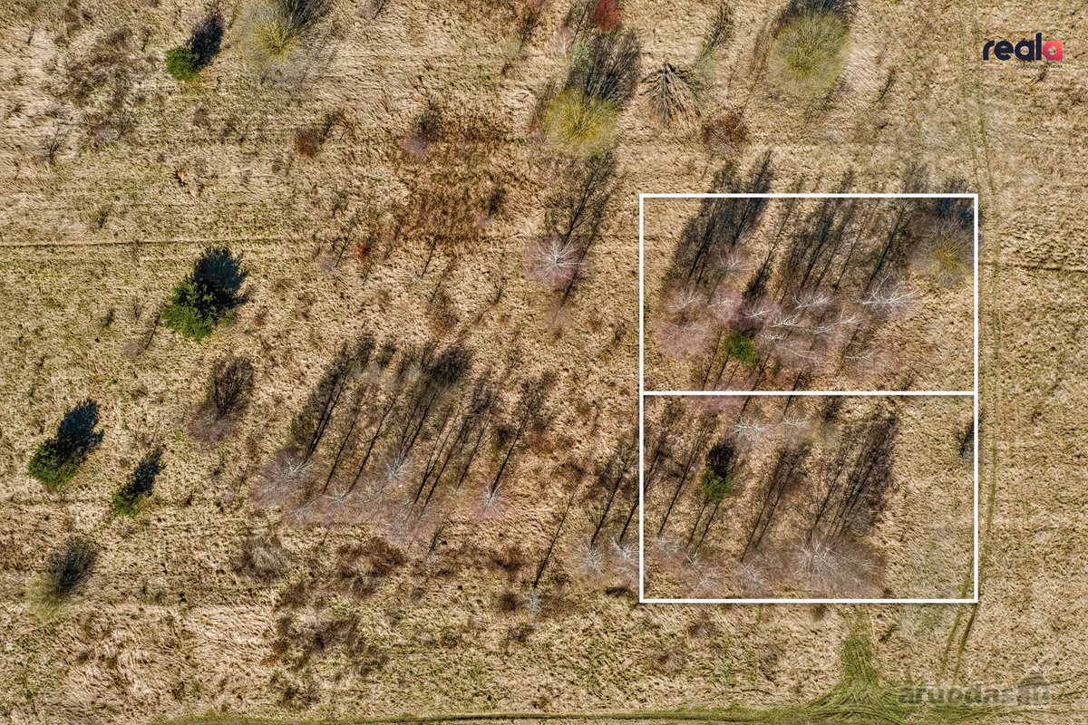 Parduodamas 9,27 a namų valdos sklypas - nuotraukos Nr. 2