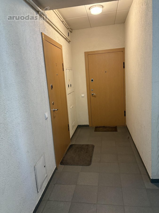 * Parduodamas jaukus, nuo pietų saulėtas 2-jų - nuotraukos Nr. 21