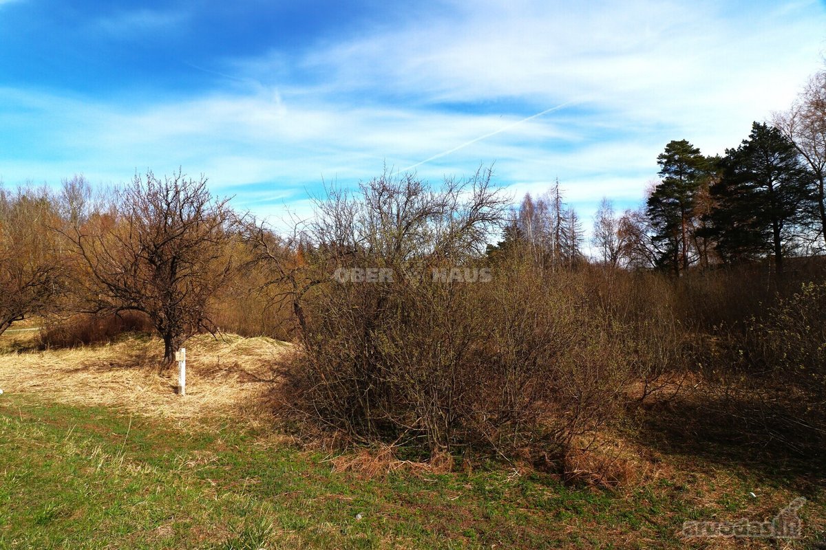 Parduodamas 77.19 arų sklypas Vyčiuose. - nuotraukos Nr. 2