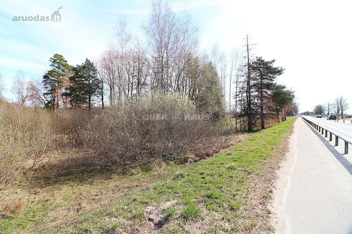 Parduodamas 77.19 arų sklypas Vyčiuose. - nuotraukos Nr. 3