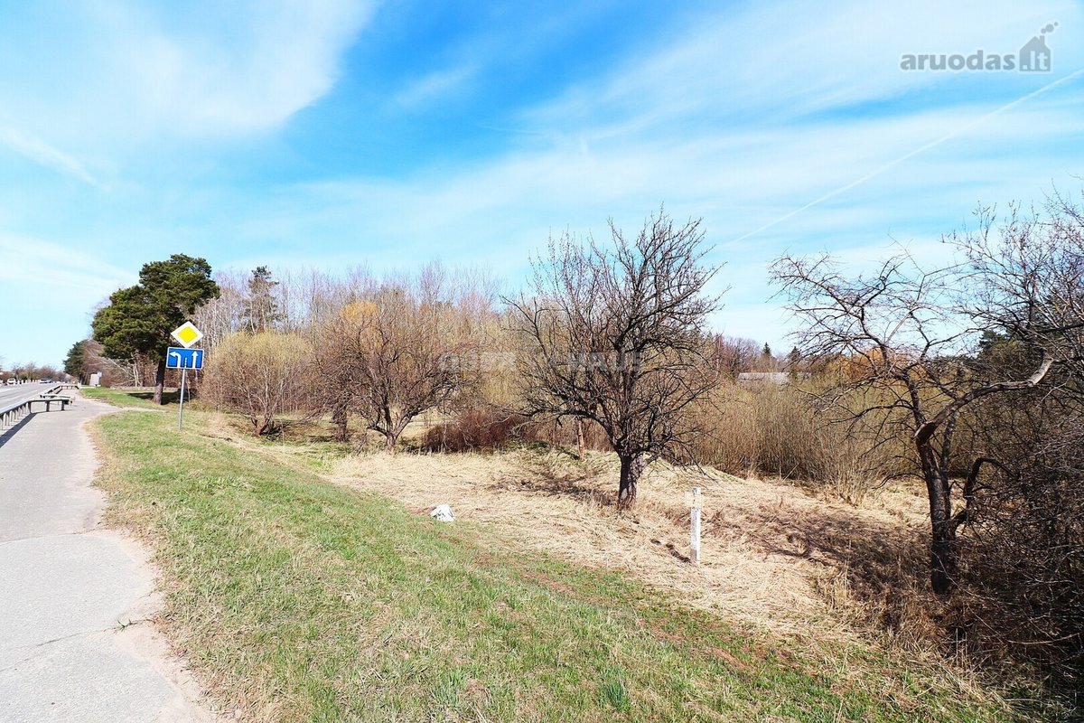 Parduodamas 77.19 arų sklypas Vyčiuose. - nuotraukos Nr. 4