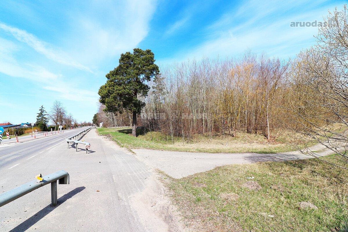 Parduodamas 77.19 arų sklypas Vyčiuose. - nuotraukos Nr. 5