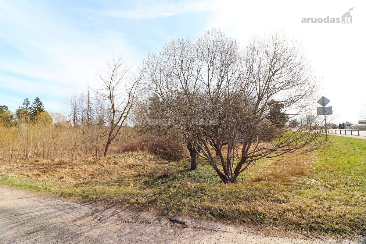 Parduodamas 77.19 arų sklypas Vyčiuose. - nuotraukos Nr. 6