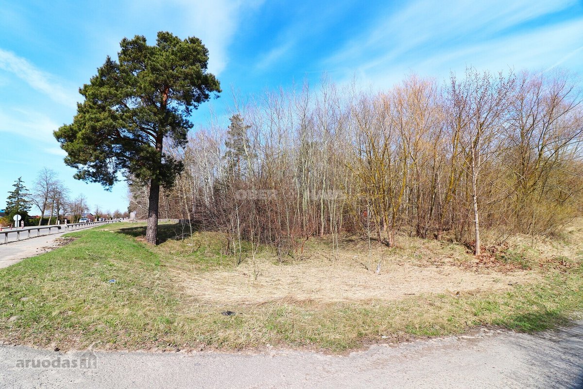 Parduodamas 77.19 arų sklypas Vyčiuose. - nuotraukos Nr. 7