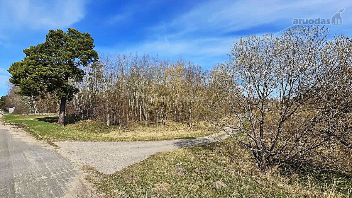 Parduodamas 77.19 arų sklypas Vyčiuose. - nuotraukos Nr. 8